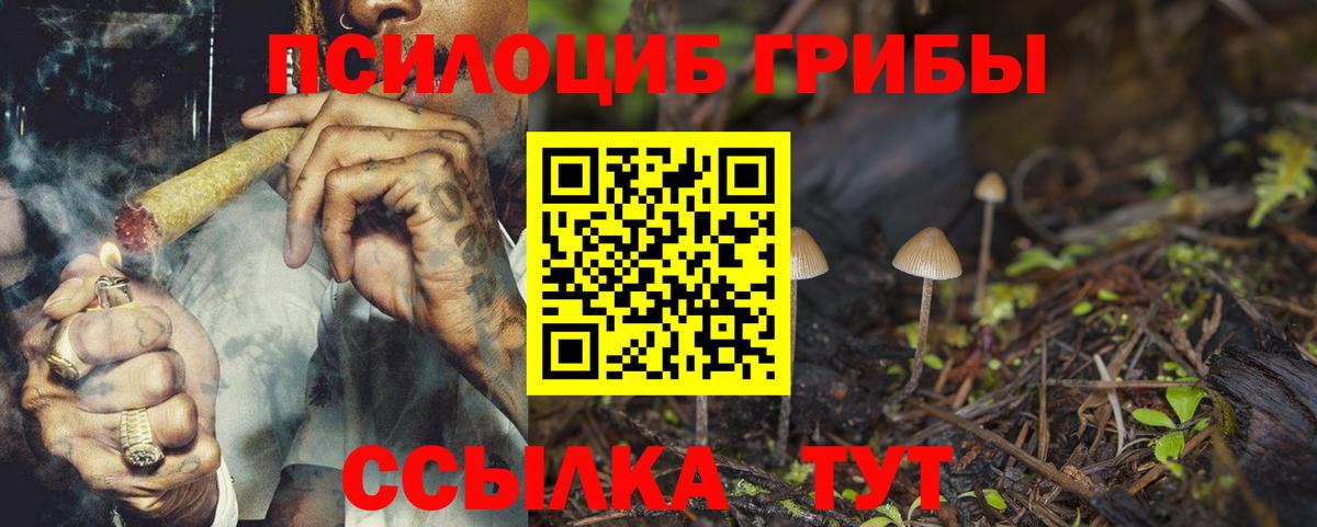 Анжеро-Судженск  как найти наркотики  Галлюциногенные грибы Cubensis  Вход с VPN  Галлюциногенные грибы Cubensis 